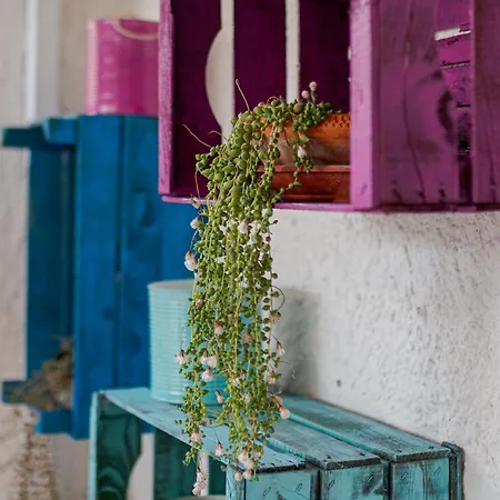 Casa Anita-relax E Comodita בית נופש