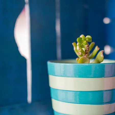 Casa Anita-relax E Comodita בית נופש קאלה גונונה